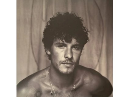 vinyl LP Shawn Mendes – Shawn